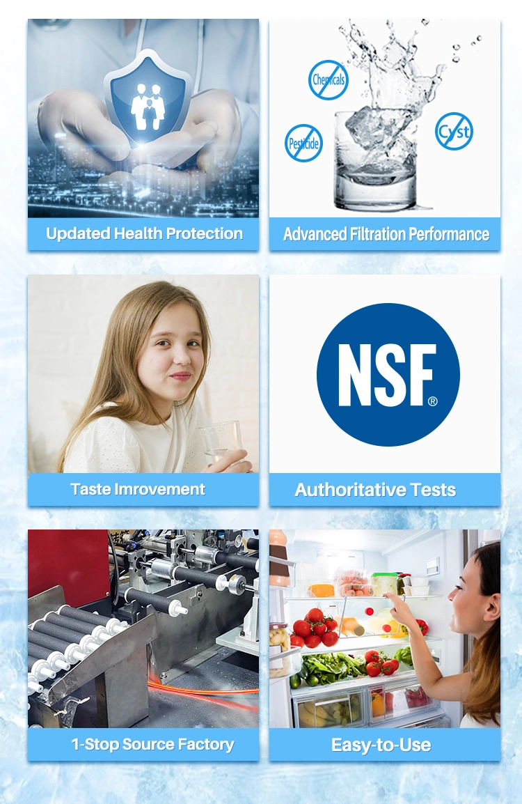 Compatible with Gswfds Refrigerator Water Filters NSF Certified